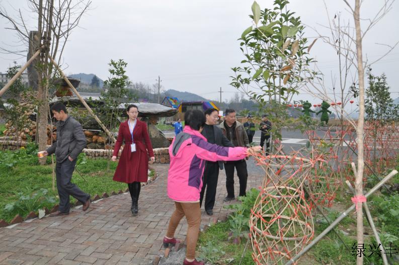 通道县县长杨秀芳一行到园区视察指导